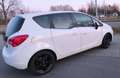 Opel Meriva Meriva 1.4 ecoflex Edition Weiß - thumbnail 12