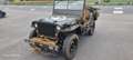 Jeep Willys Grün - thumbnail 1
