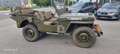 Jeep Willys Grün - thumbnail 5