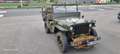 Jeep Willys Grün - thumbnail 2