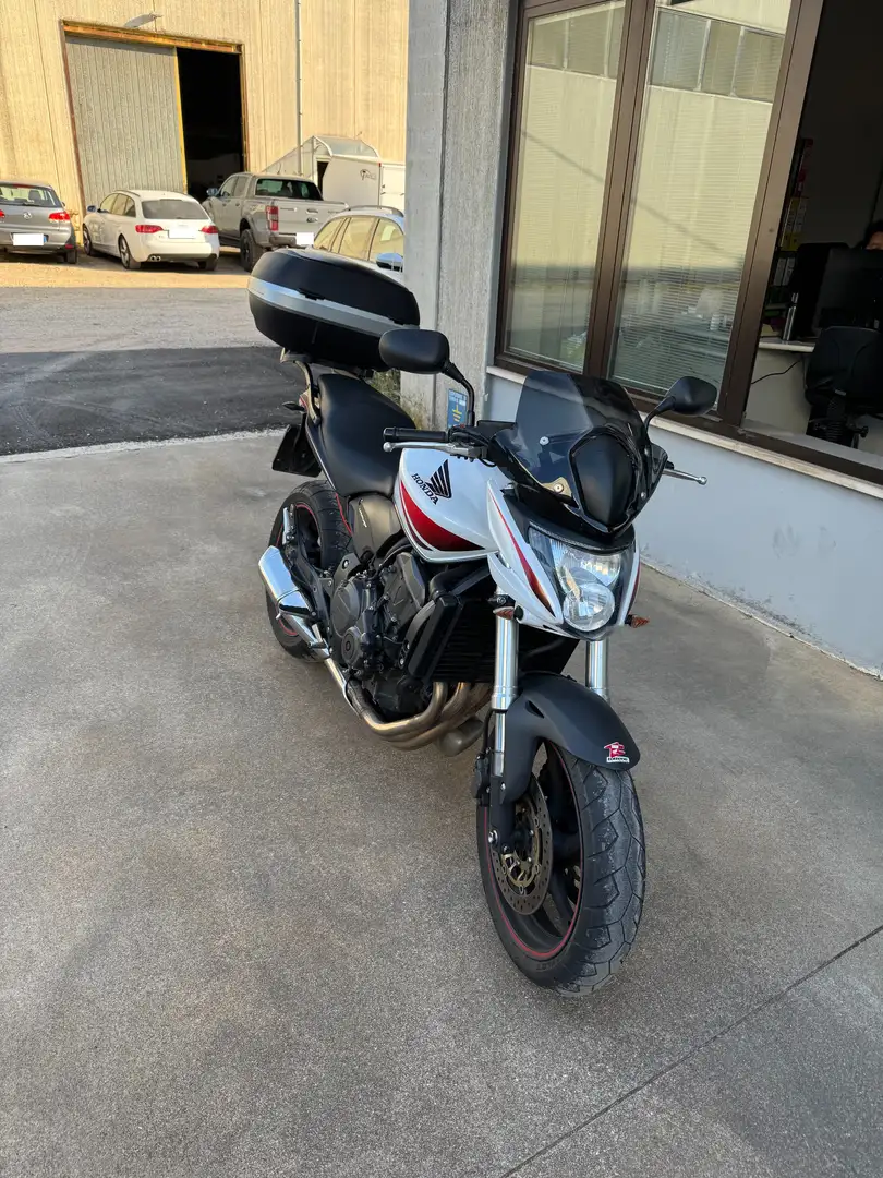 Honda Hornet 600 Blanc - 2