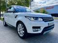 Land Rover Range Rover Sport 3.0TDV6 HSE Aut. Blanco - thumbnail 3