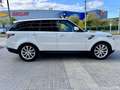 Land Rover Range Rover Sport 3.0TDV6 HSE Aut. Blanc - thumbnail 5