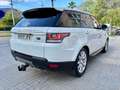 Land Rover Range Rover Sport 3.0TDV6 HSE Aut. Blanc - thumbnail 7