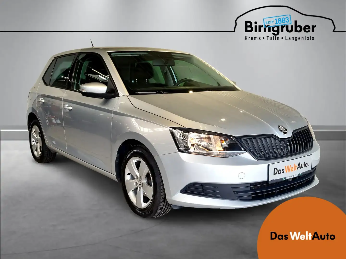 Skoda Fabia 25 srebrna - 1
