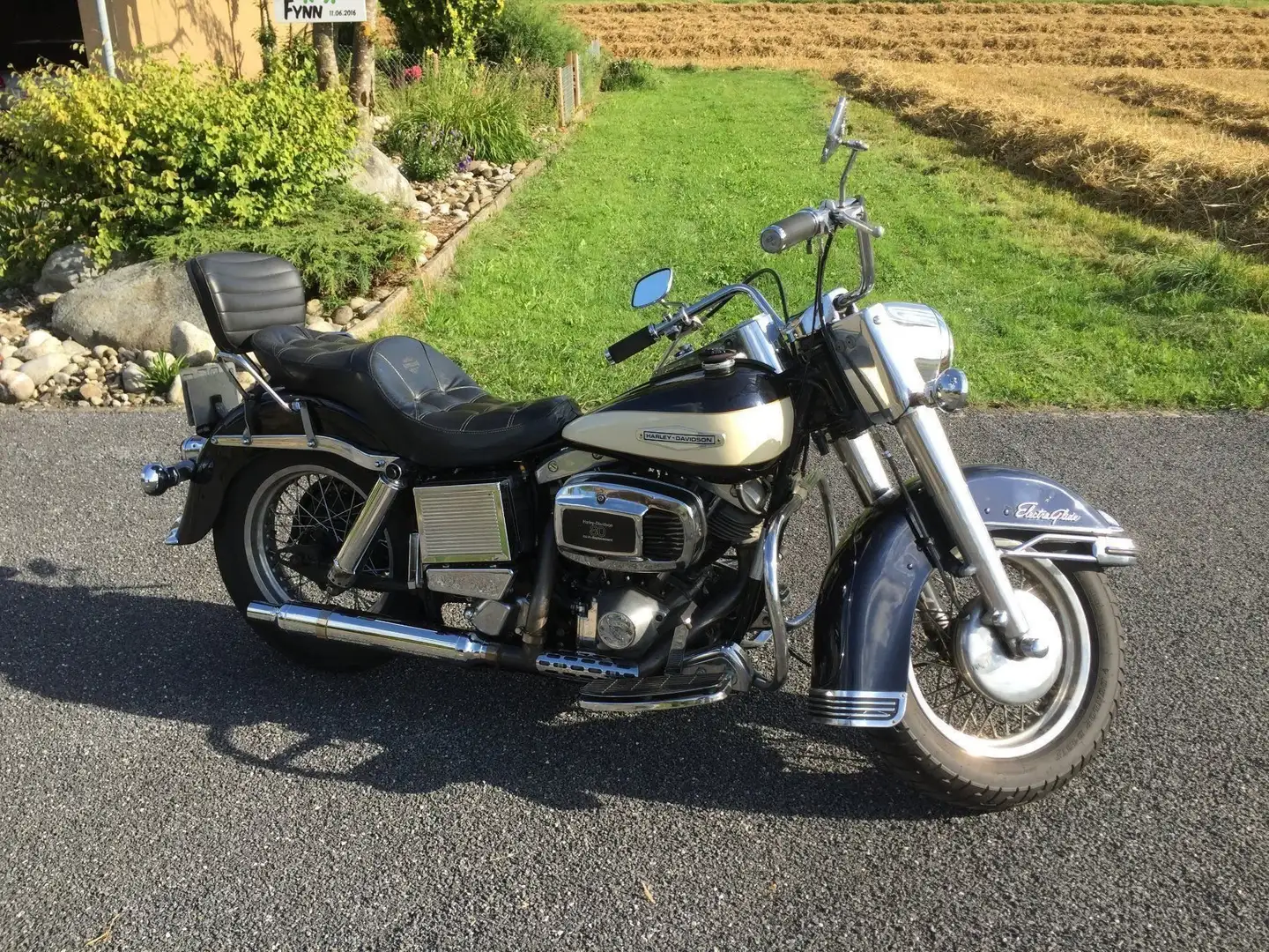 Harley-Davidson Electra Glide Azul - 2