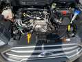 Ford EcoSport ECOSPORT 1.0 EcoBoost TITANIUM NAV SHZ HEIZ.LENKRA Grau - thumbnail 22