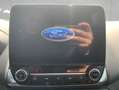 Ford EcoSport ECOSPORT 1.0 EcoBoost TITANIUM NAV SHZ HEIZ.LENKRA Grau - thumbnail 15