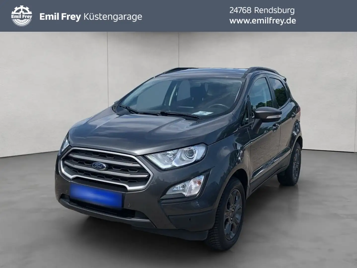 Ford EcoSport ECOSPORT 1.0 EcoBoost TITANIUM NAV SHZ HEIZ.LENKRA Grau - 1