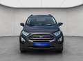 Ford EcoSport ECOSPORT 1.0 EcoBoost TITANIUM NAV SHZ HEIZ.LENKRA Grau - thumbnail 9