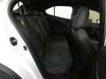 Lexus UX 250h Bianco - thumbnail 8