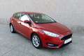 Ford Focus 1.6TDCi Trend 115 Burdeos - thumbnail 27