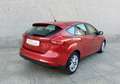 Ford Focus 1.6TDCi Trend 115 Burdeos - thumbnail 22