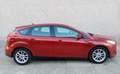 Ford Focus 1.6TDCi Trend 115 Burdeos - thumbnail 23