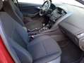 Ford Focus 1.6TDCi Trend 115 Burdeos - thumbnail 12