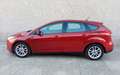 Ford Focus 1.6TDCi Trend 115 Burdeos - thumbnail 2