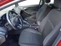 Ford Focus 1.6TDCi Trend 115 Burdeos - thumbnail 30