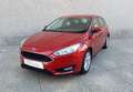Ford Focus 1.6TDCi Trend 115 Burdeos - thumbnail 19
