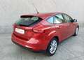 Ford Focus 1.6TDCi Trend 115 Burdeos - thumbnail 5