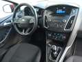 Ford Focus 1.6TDCi Trend 115 Burdeos - thumbnail 33