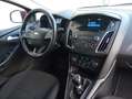 Ford Focus 1.6TDCi Trend 115 Burdeos - thumbnail 10