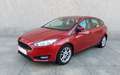 Ford Focus 1.6TDCi Trend 115 Mauve - thumbnail 24