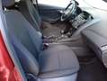 Ford Focus 1.6TDCi Trend 115 Burdeos - thumbnail 29