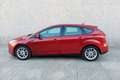 Ford Focus 1.6TDCi Trend 115 Burdeos - thumbnail 18