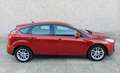 Ford Focus 1.6TDCi Trend 115 Burdeos - thumbnail 6
