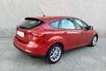 Ford Focus 1.6TDCi Trend 115 Burdeos - thumbnail 28