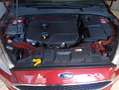 Ford Focus 1.6TDCi Trend 115 Burdeos - thumbnail 35