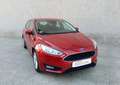 Ford Focus 1.6TDCi Trend 115 Burdeos - thumbnail 21