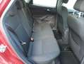Ford Focus 1.6TDCi Trend 115 Burdeos - thumbnail 13