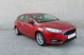 Ford Focus 1.6TDCi Trend 115 Burdeos - thumbnail 4