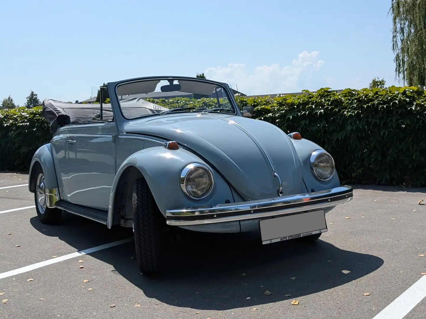 Volkswagen Käfer Blau - 1