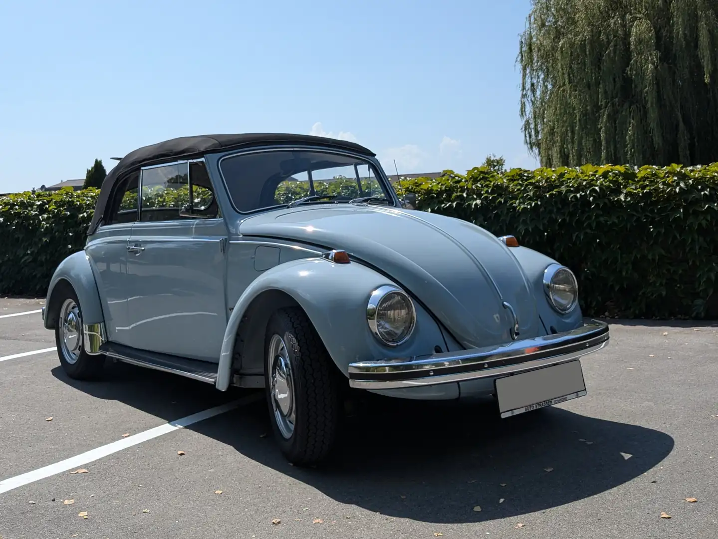 Volkswagen Käfer Blau - 2