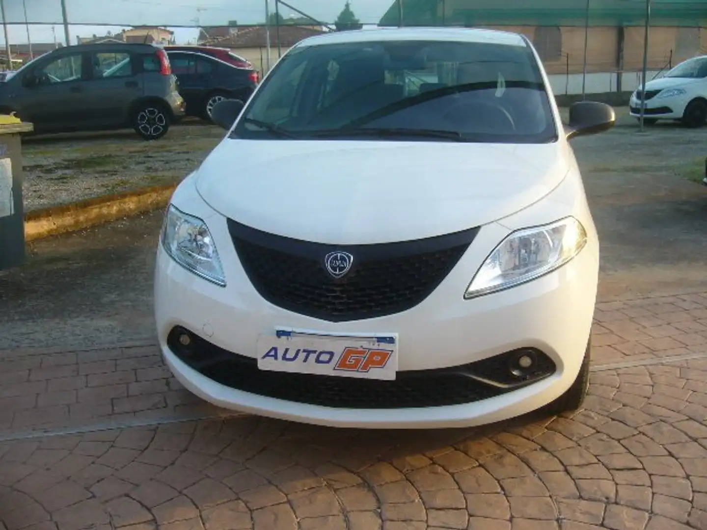 Lancia Ypsilon 1.2  cc---elefantino blu Bianco - 1