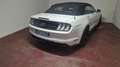 Ford Mustang Convertible 2.3 ecoboost 290cv auto my19 Bianco - thumbnail 5