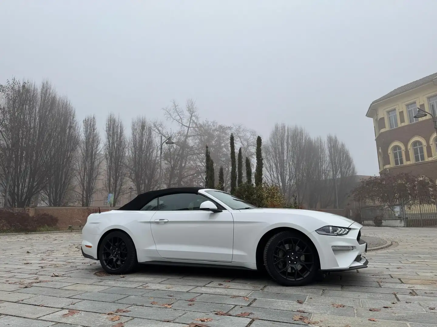 Ford Mustang Convertible 2.3 ecoboost 290cv auto my19 Bianco - 2