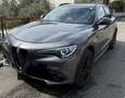 Alfa Romeo Stelvio 2.2 t B-Tech Q4 210cv auto Grigio - thumbnail 4