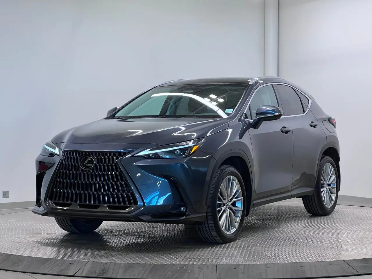 2024 Lexus NX