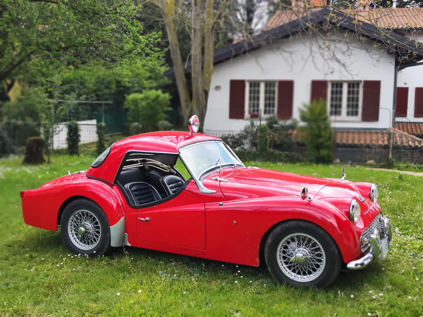 Triumph TR3 B Roşu - 1