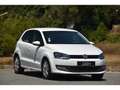 Volkswagen Polo Polo 1.6 16V TDI CR FAP - 90  V 6R Confortline PHASE 1 Weiß - thumbnail 6