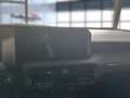 Toyota Land Cruiser 2.8 D-4D 150kW AWD Executive Rarit t! Noir - thumbnail 10