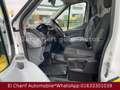 Ford Transit Kasten 350 L3 Weiß - thumbnail 9