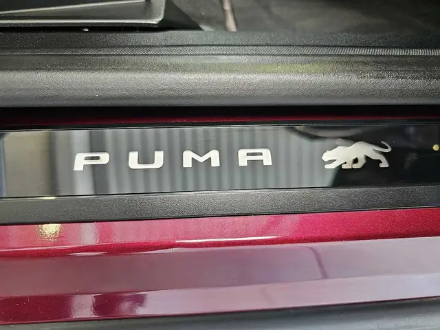 Ford Puma view 14