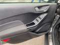 Ford Fiesta ACTIVE Gris - thumbnail 9