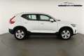 Volvo XC40 Core 2WD B3 Mild-Hybrid Core, AHK, Navi, LED, W... Weiß - thumbnail 20