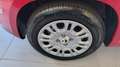 Fiat Panda 1.0 FireFly S&S Hybrid Rot - thumbnail 8