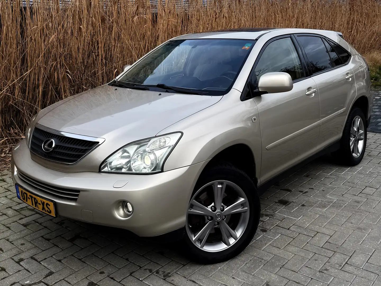 Lexus RX 400 Executive Beige - 1